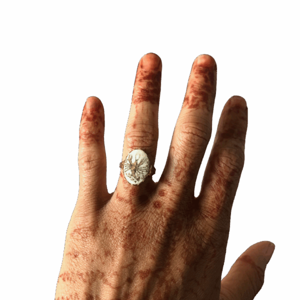 Ancient Sea Creature House Ring