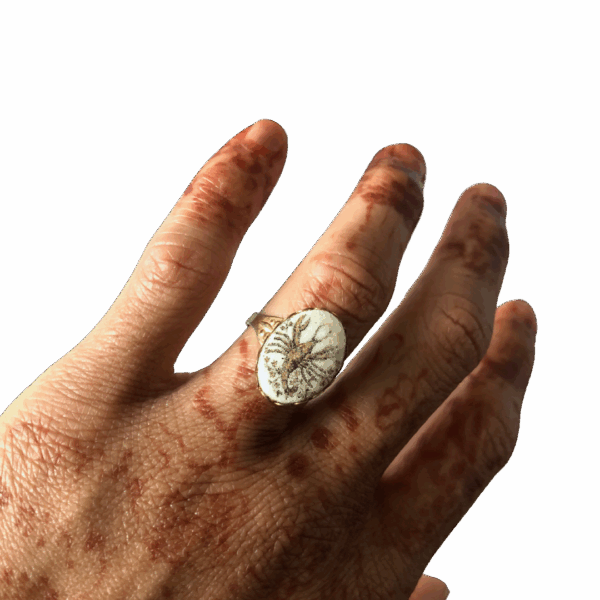 Ancient Sea Creature House Ring - Image 13