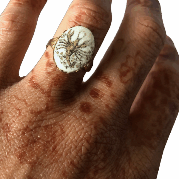 Ancient Sea Creature House Ring - Image 11