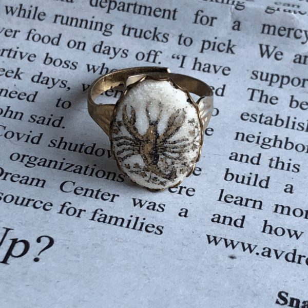 Ancient Sea Creature House Ring - Image 10