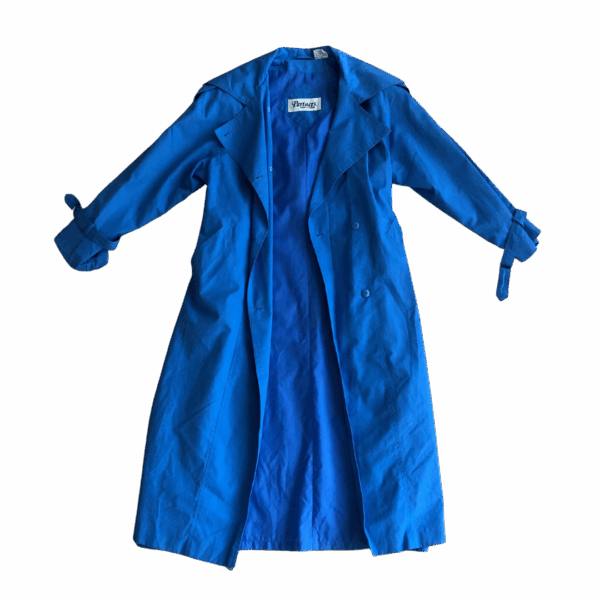The Sky Is Blue Trench Coat