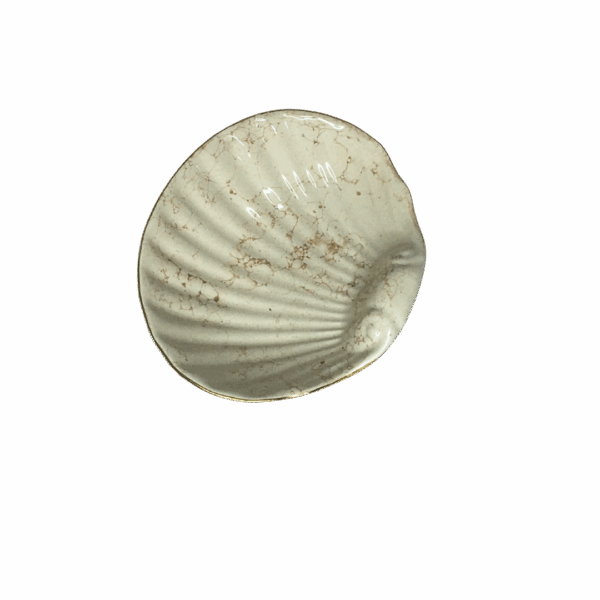 Shell Catchall - Image 5