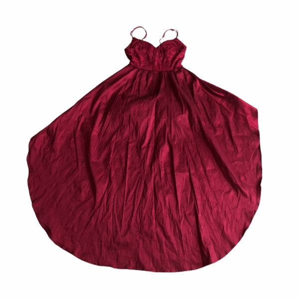 Real Life Ruby Dress - Image 7